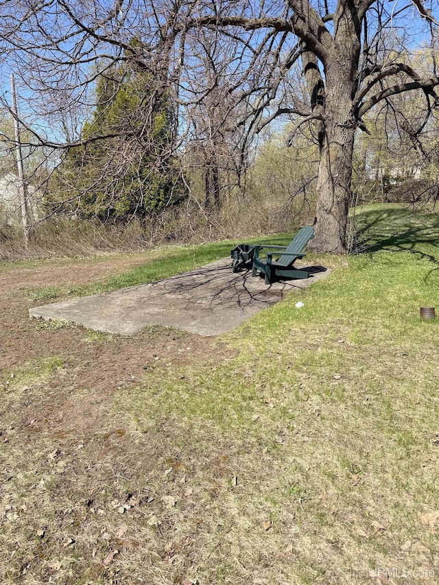 view of green lawn