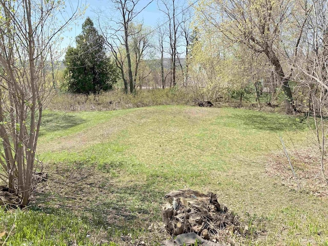 view of green lawn