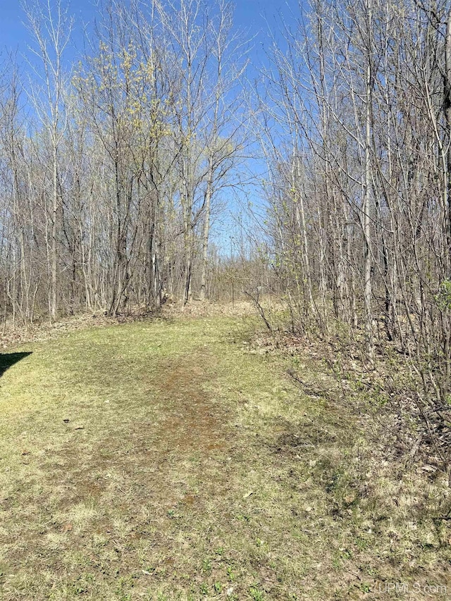 view of undeveloped land