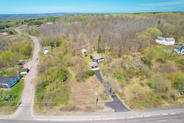 drone / aerial view of a forest