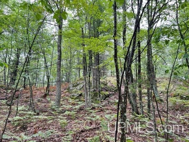 194ACRES County Road Oo Rd, Pembine T-Wi, WI 54156