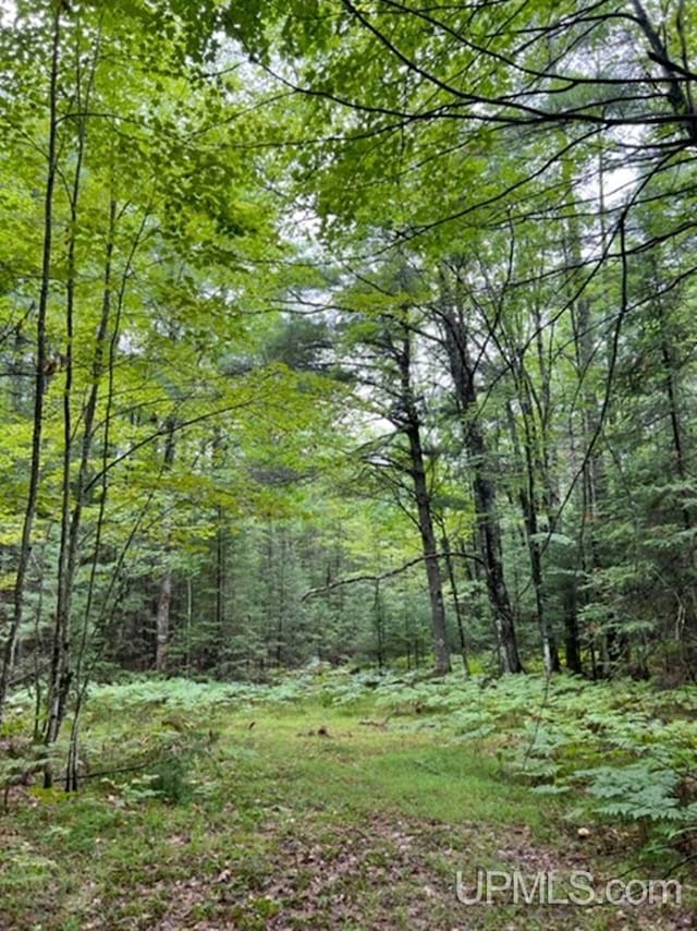 194ACRES County Road Oo Rd, Pembine T-Wi, WI 54156