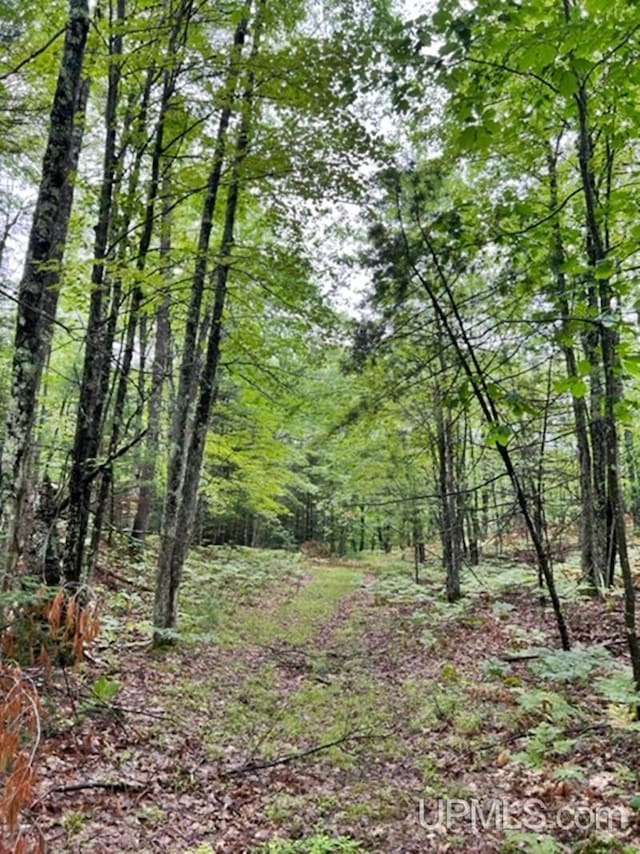 194ACRES County Road Oo Rd, Pembine T-Wi, WI 54156