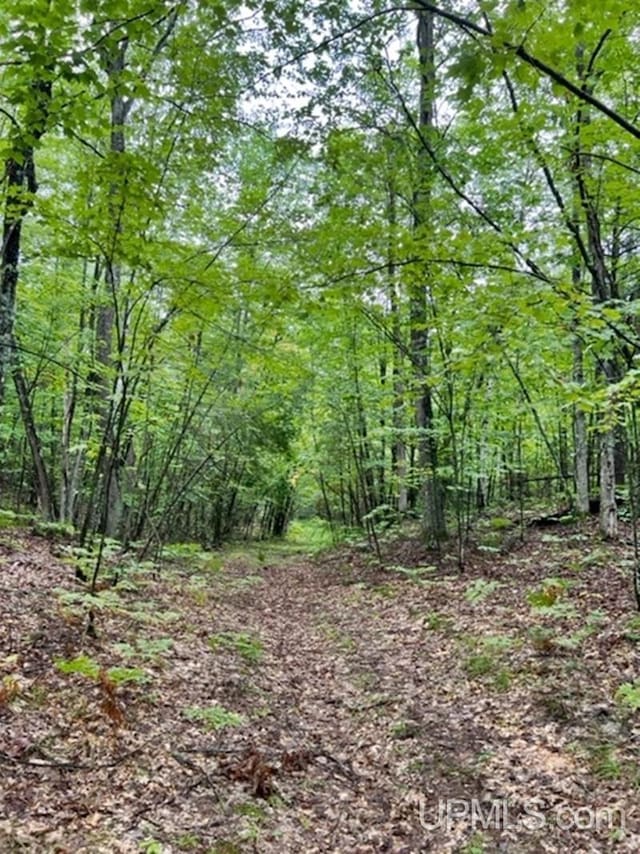 194ACRES County Road Oo Rd, Pembine T-Wi, WI 54156