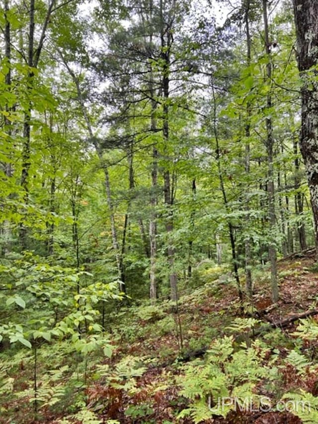 194ACRES County Road Oo Rd, Pembine T-Wi, WI 54156