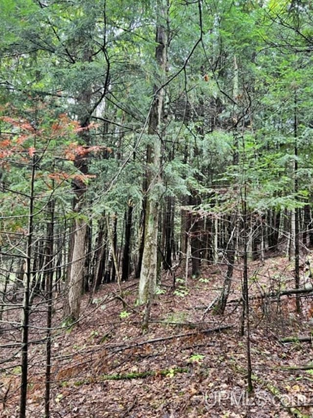 194ACRES County Road Oo Rd, Pembine T-Wi, WI 54156
