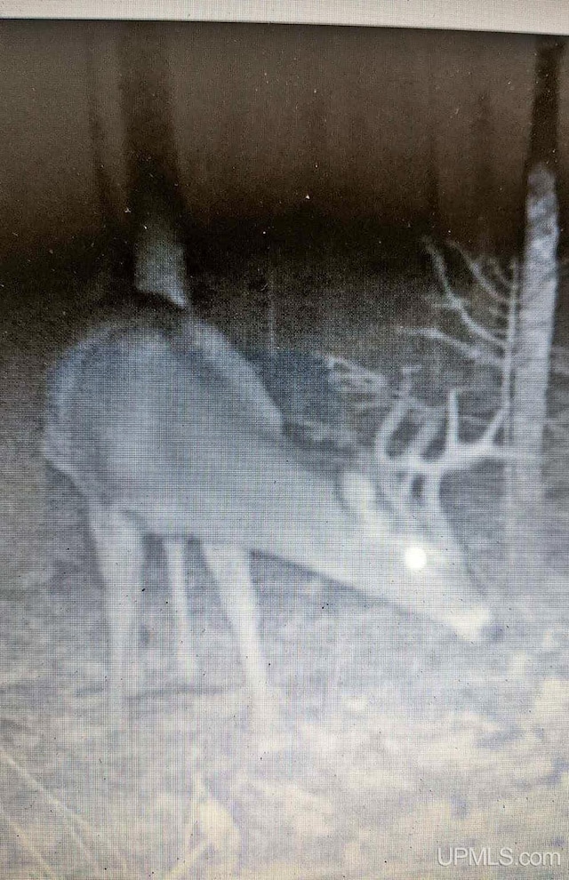 194ACRES County Road Oo Rd, Pembine T-Wi, WI 54156