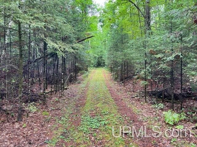 194ACRES County Road Oo Rd, Pembine T-Wi, WI 54156