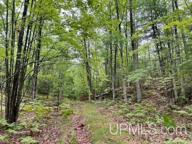 194ACRES County Road Oo Rd, Pembine T-Wi, WI 54156