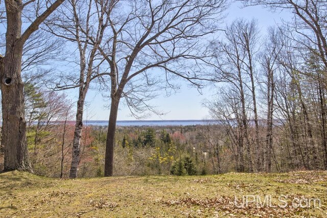 8962 Stagecoach Q.5 Ave, Gladstone, MI 49837 - view of woods