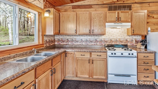 9190 Blue Jay Ln, Florence T-Wi, WI 54121 - kitchen featuring under cabinet range hood, white gas stove, plenty of natural light, lofted ceiling, and a sink