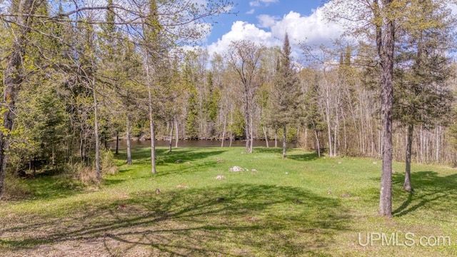 9190 Blue Jay Ln, Florence T-Wi, WI 54121 - view of grassy yard with a forest view