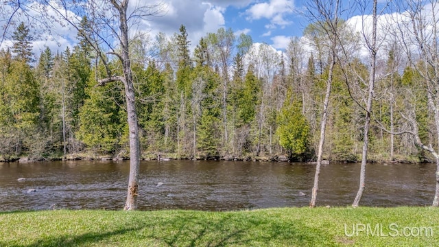 9190 Blue Jay Ln, Florence T-Wi, WI 54121 - water view with a forest