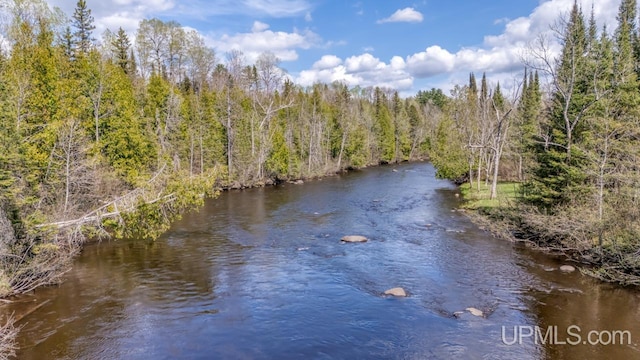9190 Blue Jay Ln, Florence T-Wi, WI 54121 - water view