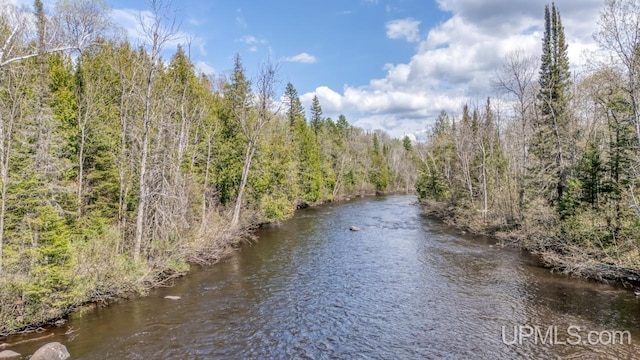 9190 Blue Jay Ln, Florence T-Wi, WI 54121 - water view