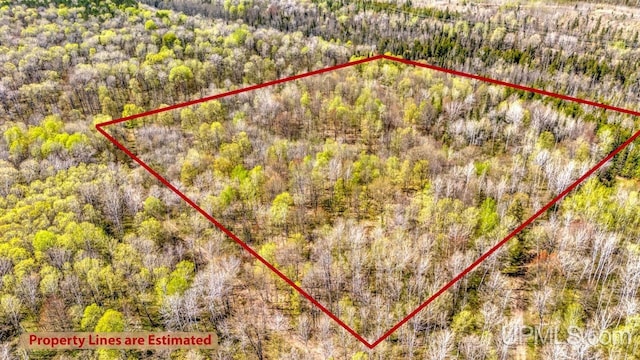 9190 Blue Jay Ln, Florence T-Wi, WI 54121 - aerial overview of property's location with property parcel outlined