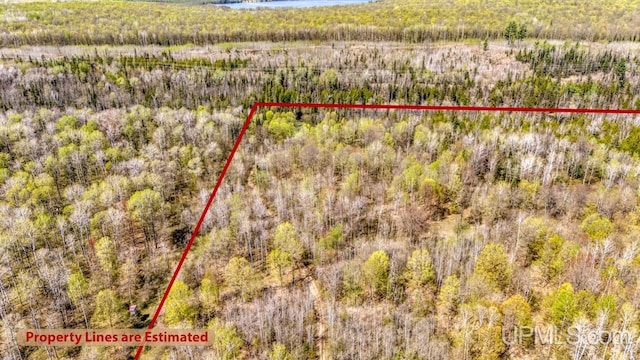 9190 Blue Jay Ln, Florence T-Wi, WI 54121 - view of property location featuring property boundaries highlighted and a forest