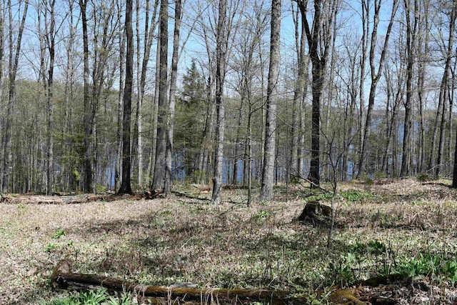 1322 W Northwoods Ln, Hardwood, MI 49834 - view of woods