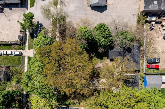 drone / aerial view
