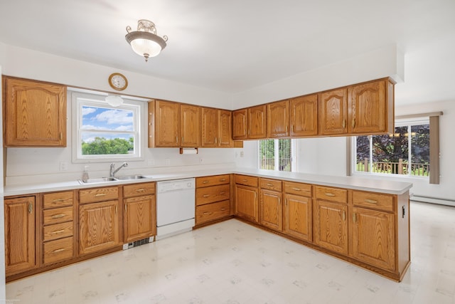 kitchen featuring dishwasher, a sink, and plenty of natural light