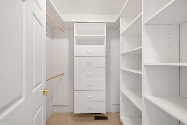 view of walk in closet