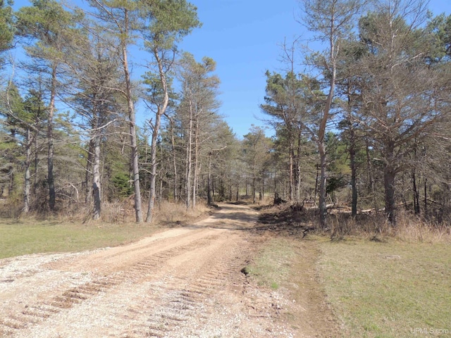 8653 Ll Rd, Rapid River, MI 49878 - view of dirt / gravel road with a view of trees