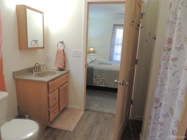 8653 Ll Rd, Rapid River, MI 49878 - bathroom with wood finished floors, vanity, toilet, ensuite bathroom, and a shower with shower curtain