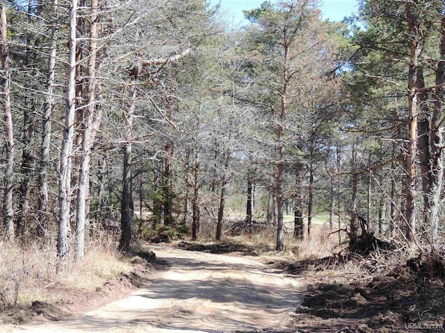 8653 Ll Rd, Rapid River, MI 49878 - view of street featuring a wooded view