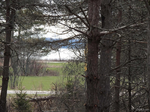 8653 Ll Rd, Rapid River, MI 49878 - view of yard