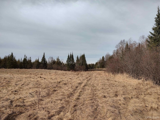 40ACRES Trombley 35th Rd, Rock, MI 49880
