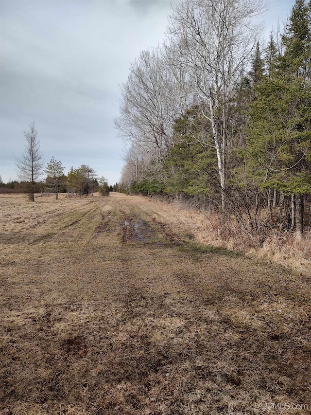 40ACRES Trombley 35th Rd, Rock, MI 49880