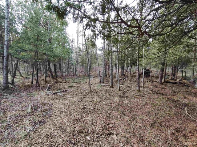 40ACRES Trombley 35th Rd, Rock, MI 49880