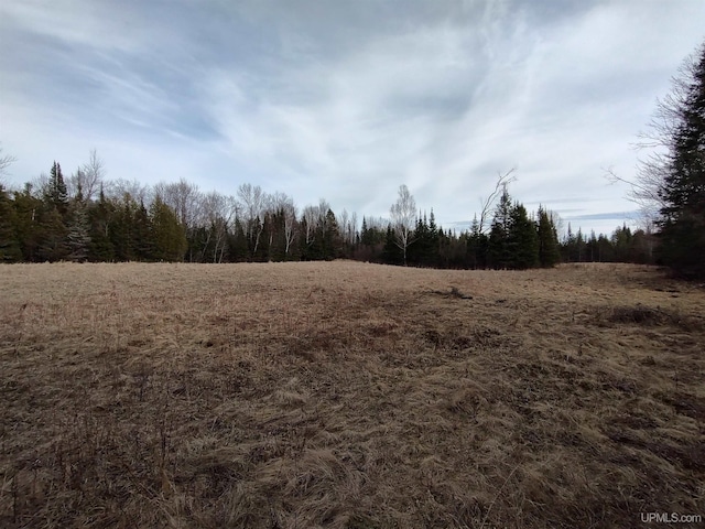 40ACRES Trombley 35th Rd, Rock, MI 49880