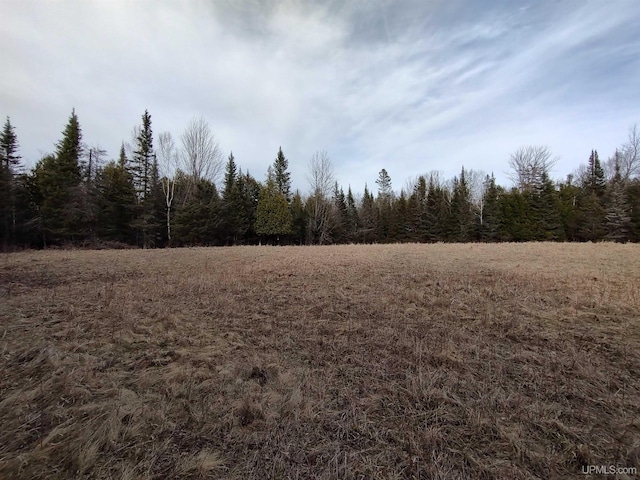 40ACRES Trombley 35th Rd, Rock, MI 49880