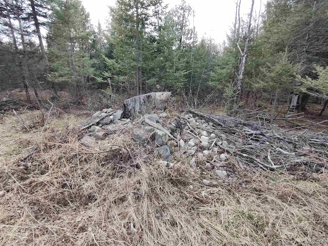 40ACRES Trombley 35th Rd, Rock, MI 49880