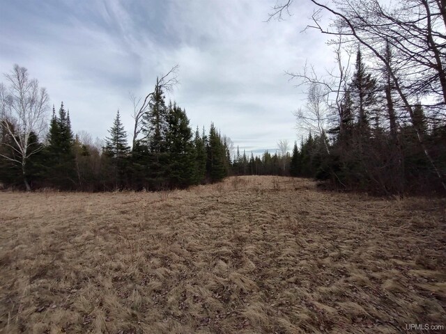 40ACRES Trombley 35th Rd, Rock, MI 49880