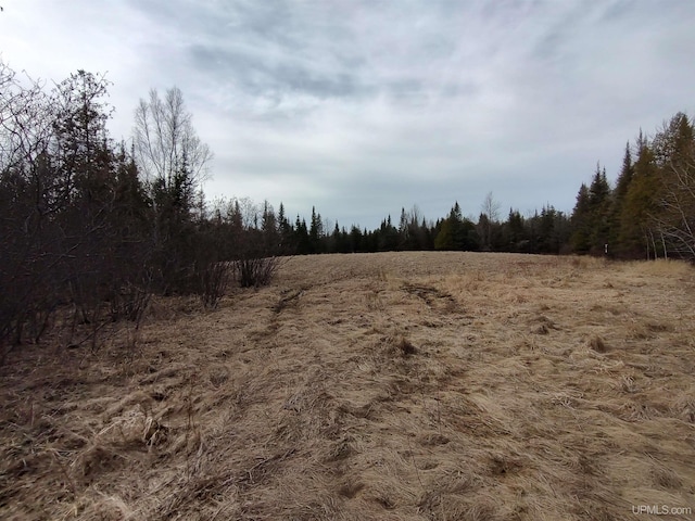 40ACRES Trombley 35th Rd, Rock, MI 49880