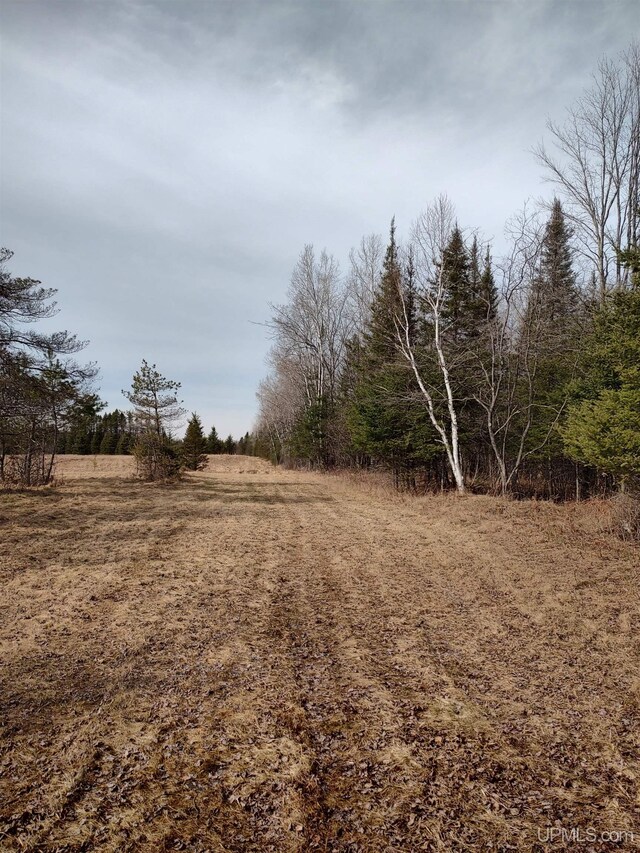 40ACRES Trombley 35th Rd, Rock, MI 49880