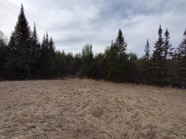 40ACRES Trombley 35th Rd, Rock, MI 49880