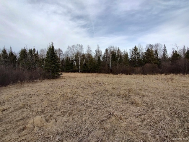 40ACRES Trombley 35th Rd, Rock, MI 49880