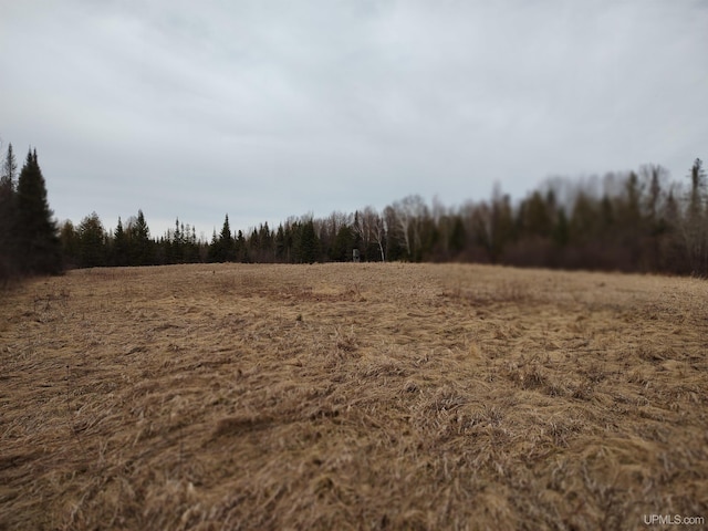 40ACRES Trombley 35th Rd, Rock, MI 49880