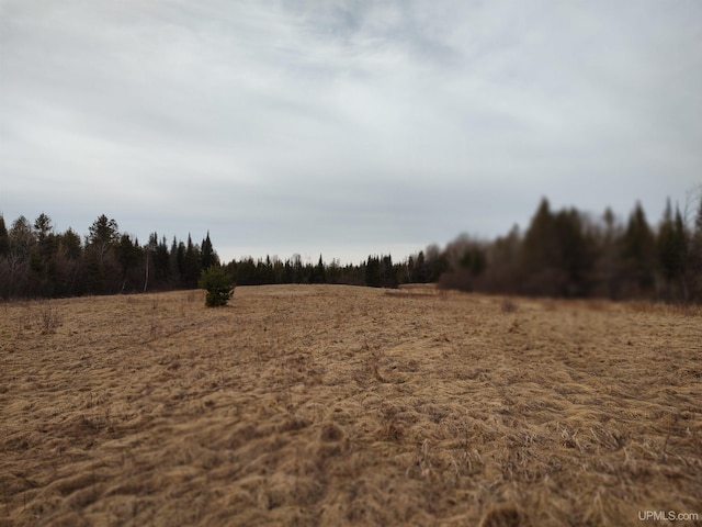 40ACRES Trombley 35th Rd, Rock, MI 49880