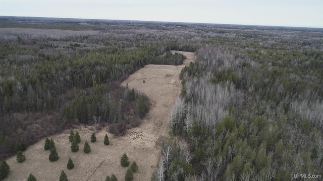 40ACRES Trombley 35th Rd, Rock, MI 49880
