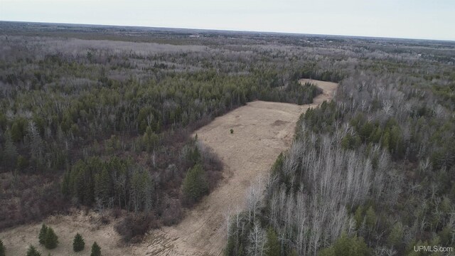 40ACRES Trombley 35th Rd, Rock, MI 49880