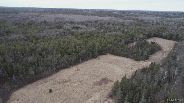 40ACRES Trombley 35th Rd, Rock, MI 49880