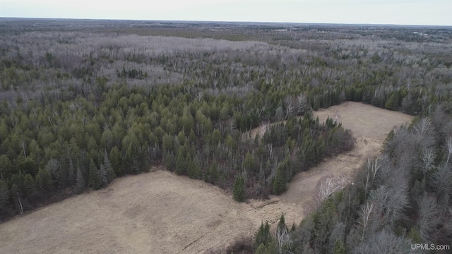 40ACRES Trombley 35th Rd, Rock, MI 49880
