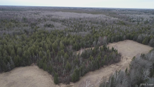40ACRES Trombley 35th Rd, Rock, MI 49880