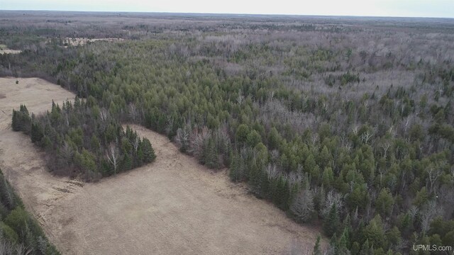 40ACRES Trombley 35th Rd, Rock, MI 49880