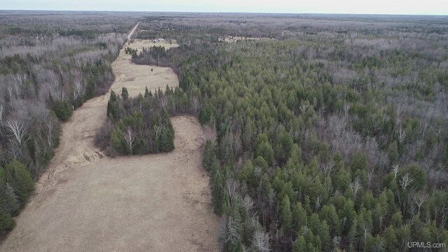 40ACRES Trombley 35th Rd, Rock, MI 49880