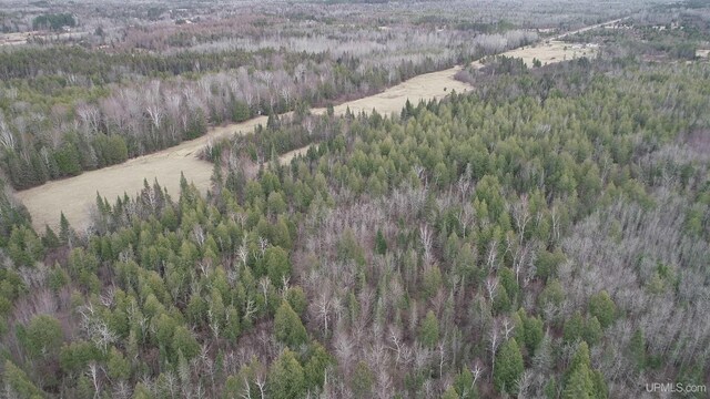 40ACRES Trombley 35th Rd, Rock, MI 49880